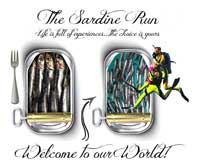 The Sardine Run
